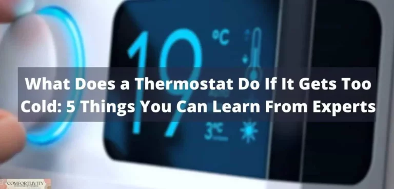 What Does a Thermostat Do If It Gets Too Cold – 5 Things You Can Learn From Experts