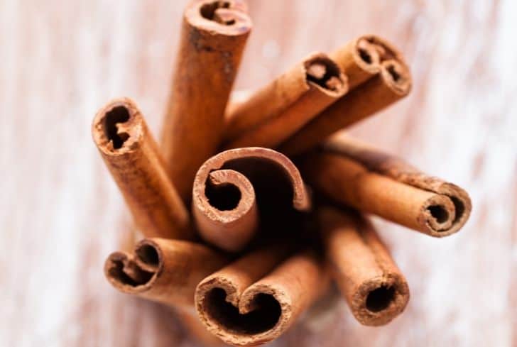 Can You Grind Cinnamon Sticks in a Blender?