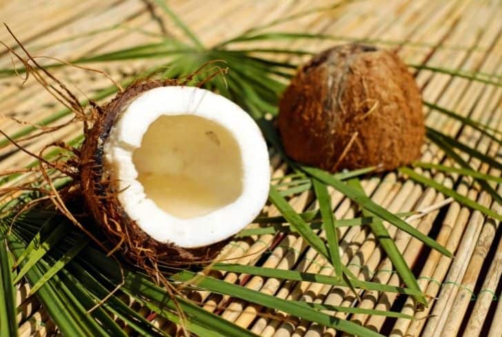 Why are Some Coconuts Brown and Hairy?