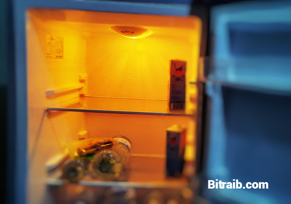 Should you Keep your Fridge Plugged in When Going on Vacation? (+3 More