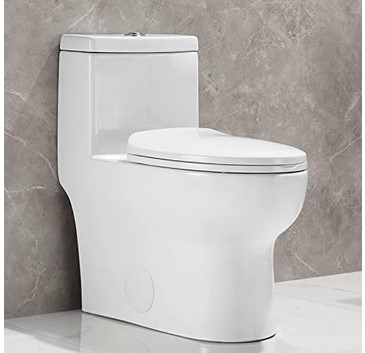 Can You Spray A Ceramic Toilet