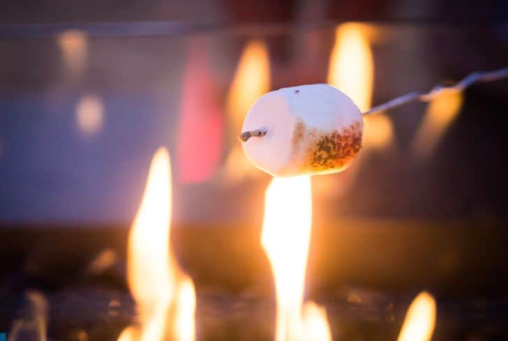 roasting-marshmallow-on-campfire