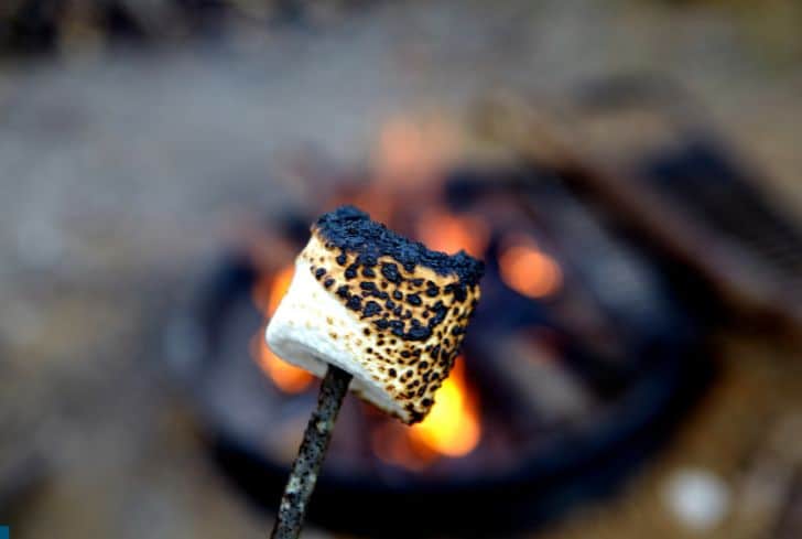 Is It Safe to Roast Marshmallows Over a Gas Stove?