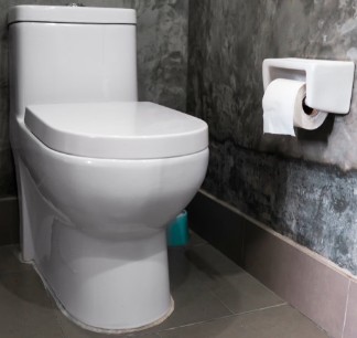 Kohler toilets repair instructions