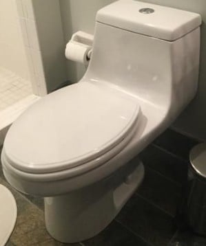 Are Glacier Bay toilets worth it?