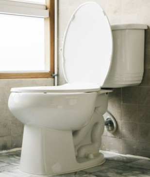 Glacier Bay Power flush toilet reviews