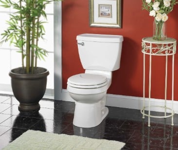 American Standard Toilet That Flushes Golf Balls (Reviewed!)