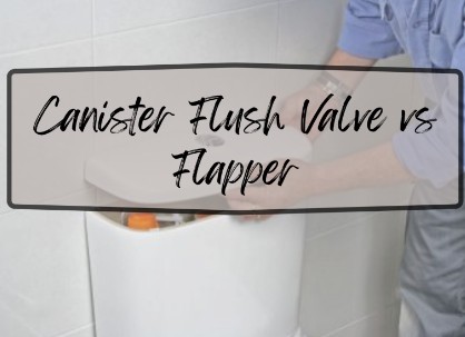 Canister Flush Valve Vs Flapper