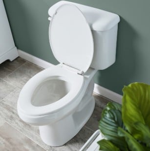 New American Standard toilet not flushing