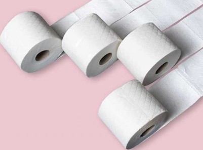 Charmin toilet paper roll circumference