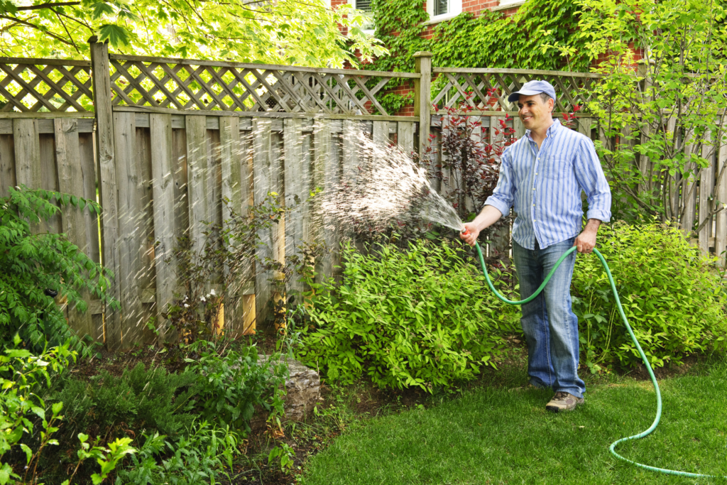 A man in a blue striped shirt waters his garden with a garden hose.