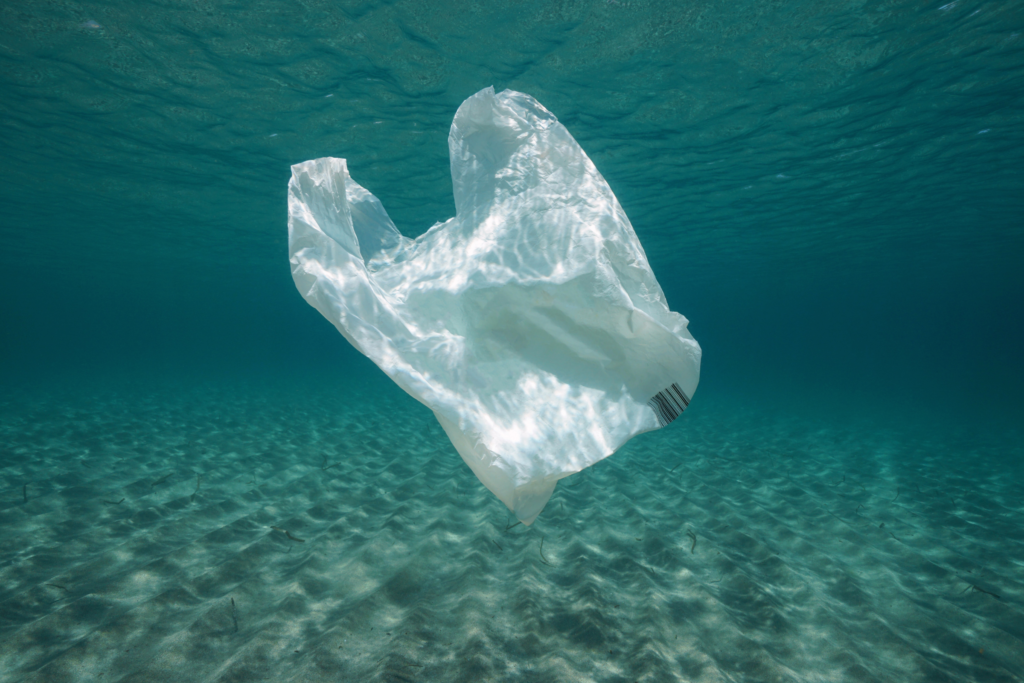 A plastic bag floats in the ocean.