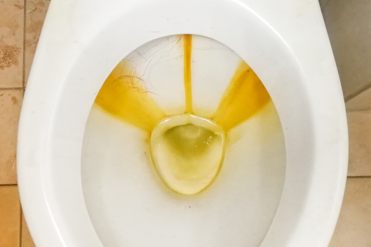 3 Reasons Why There Is Urine Around Base Of Toilet? (Fixed!) I'll