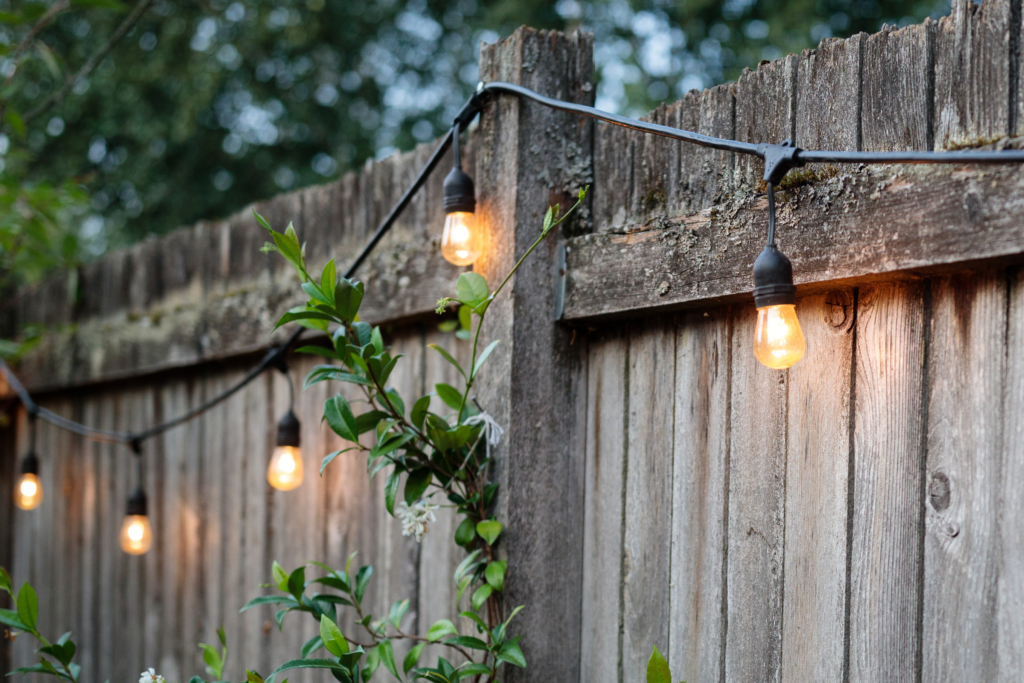 Lighting and Ambiance in the backyard