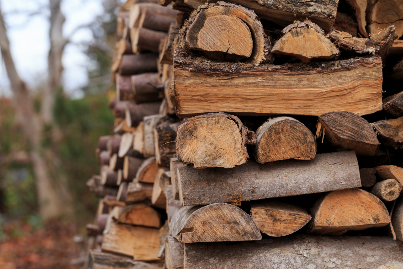 Wood away. Молдова дрова. Откуда дровишки.