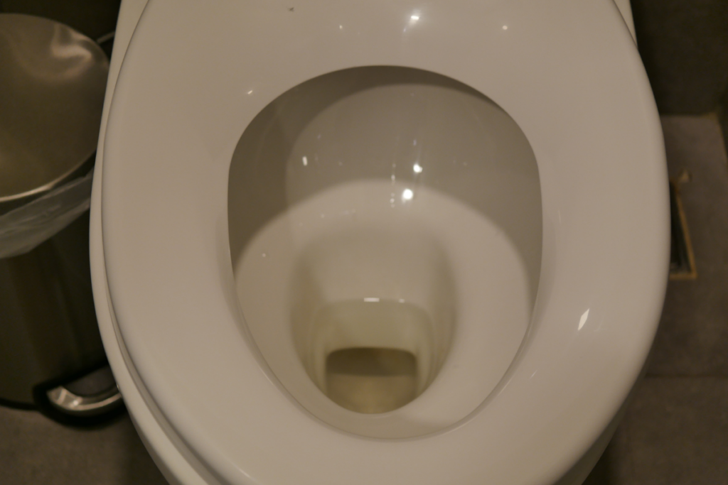 Low water in your toilet bowl may be caused by not having enough water in the tank, a partial clog, blocked vent pipes, or a hairline crack in the toilet.