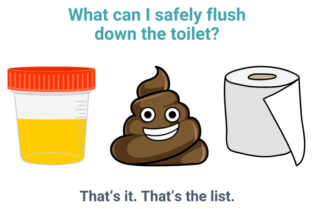 Only three things should ever be flushed in your toilet: pee, poop, and (toilet) paper!