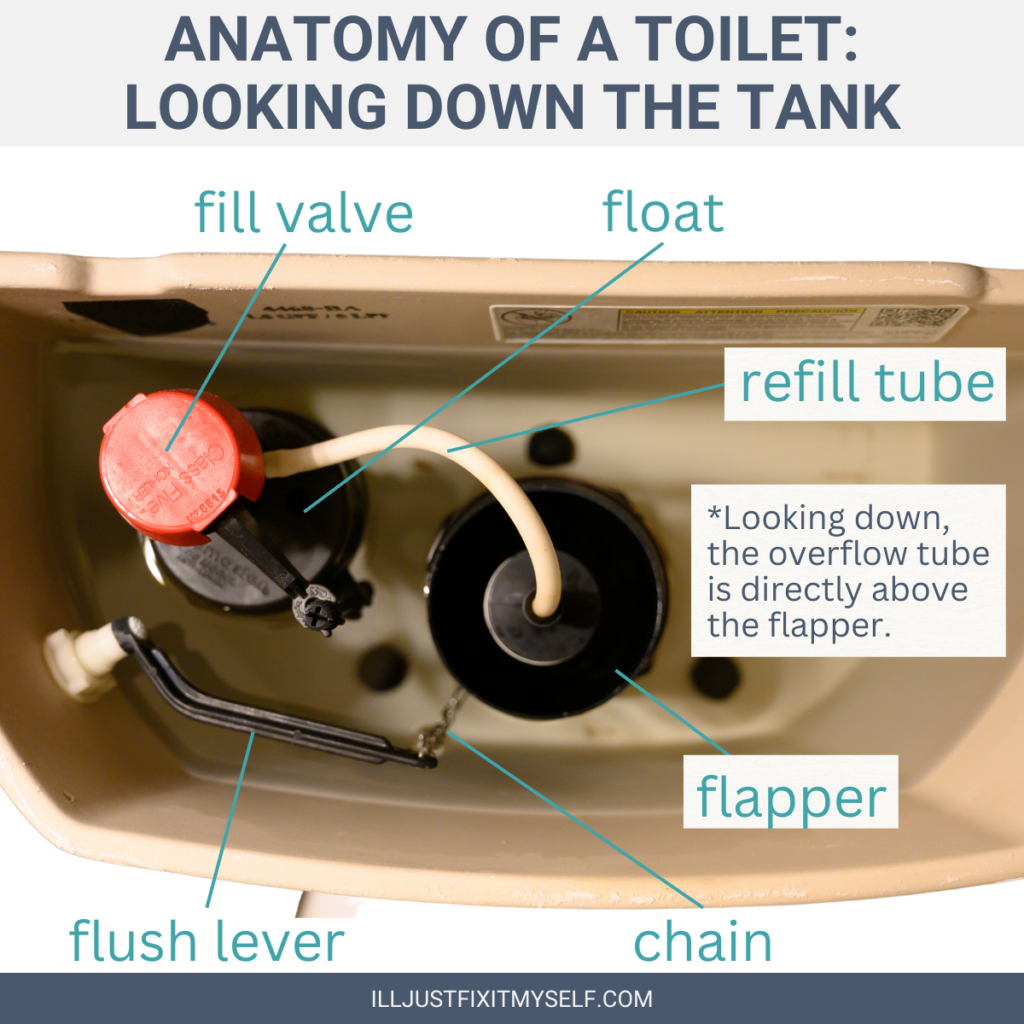 Review this image for help identifying parts of your toilet.