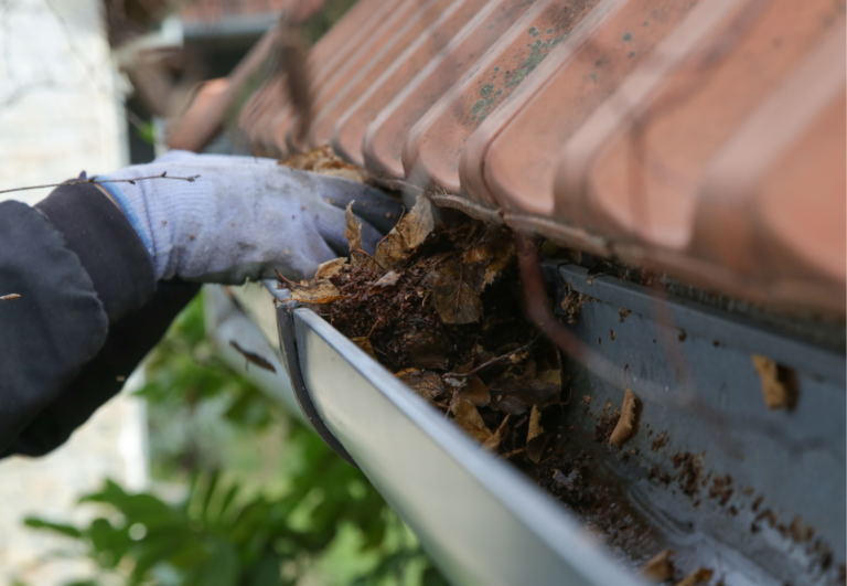 How Often to Clean Gutters Without Trees: Ideal Maintenance Schedule